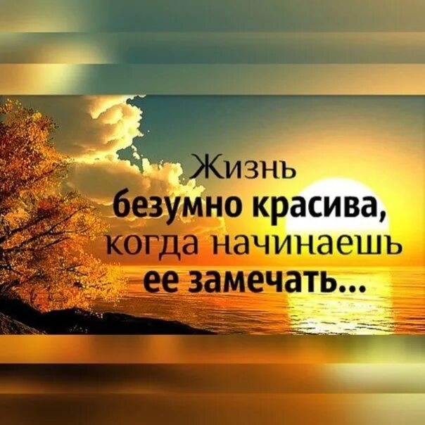 Жизнь прекрасна. Афоризмы жизнь прекрасна и удивительна. Жизнь прекрасна картинки. Жизнь замечательна замечайте. Что бы ни случилось жизнь прекрасна