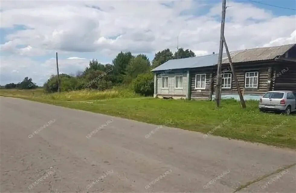 Деревня костянка нижегородская область. Усадьба кутлубицких с костянка шатковский р-он. Костянка нижегородская область. Костянка нижегородская область. Костяника ягода костяника.
