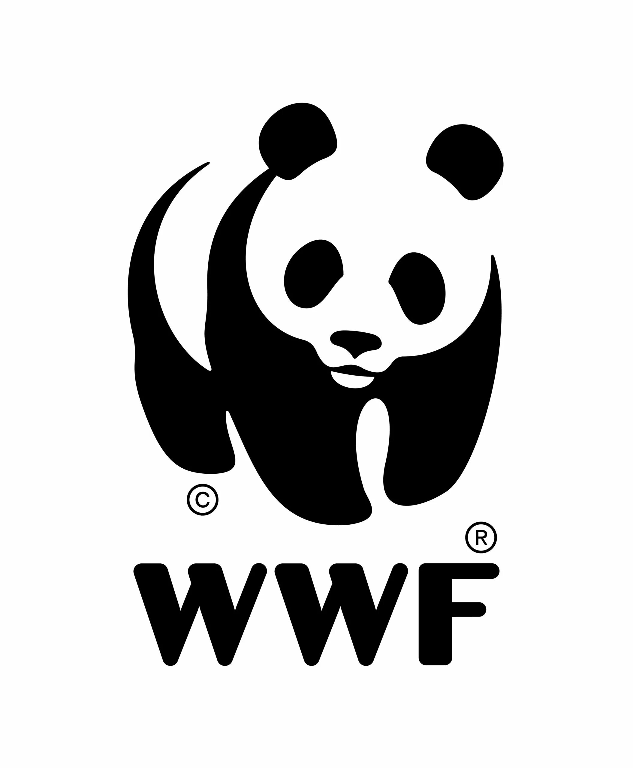 The world wildlife fund is. Всемирный фонд охраны дикой природы. Панда символ Всемирного фонда дикой природы. Логотип Панда WWF. Герб с пандой.