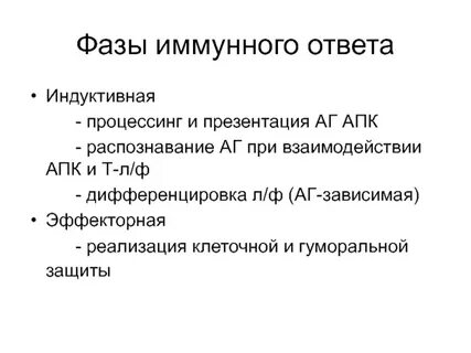 Основные стадии иммунного ответа