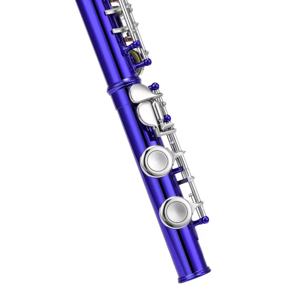 Флейта синий. Eastar флейта. Флейта фиолетовая. Флейта синяя декоративная. Фиолетовая флейта 1 к мм2.