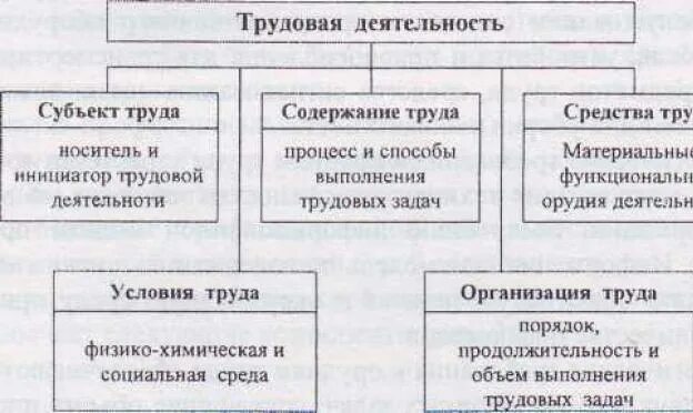 Заправочные супы. Приготовление обеда. Сервировка стола к обеду - презентация он