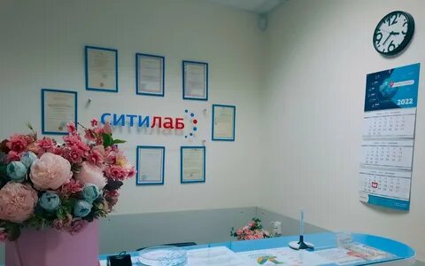 Ситилаб брянск телефон