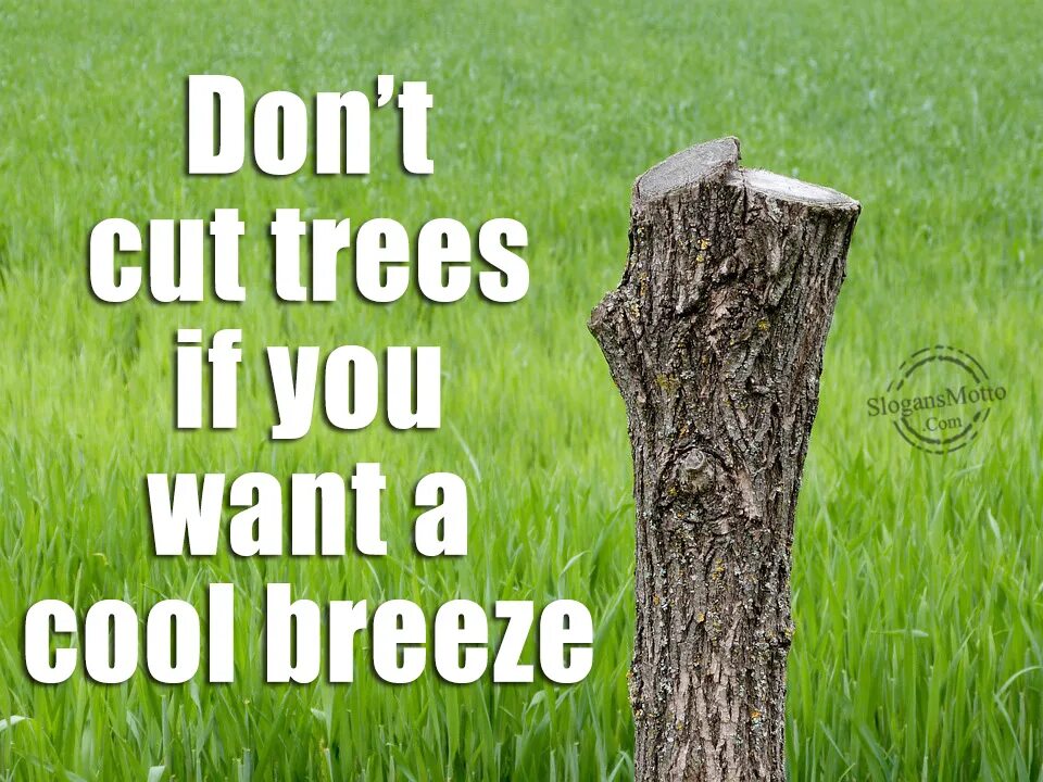 Please the trees. Don&#039;t cut trees. don&#039;t cut down trees. do not cut trees. проблема вырубка лесов do not cut trees.