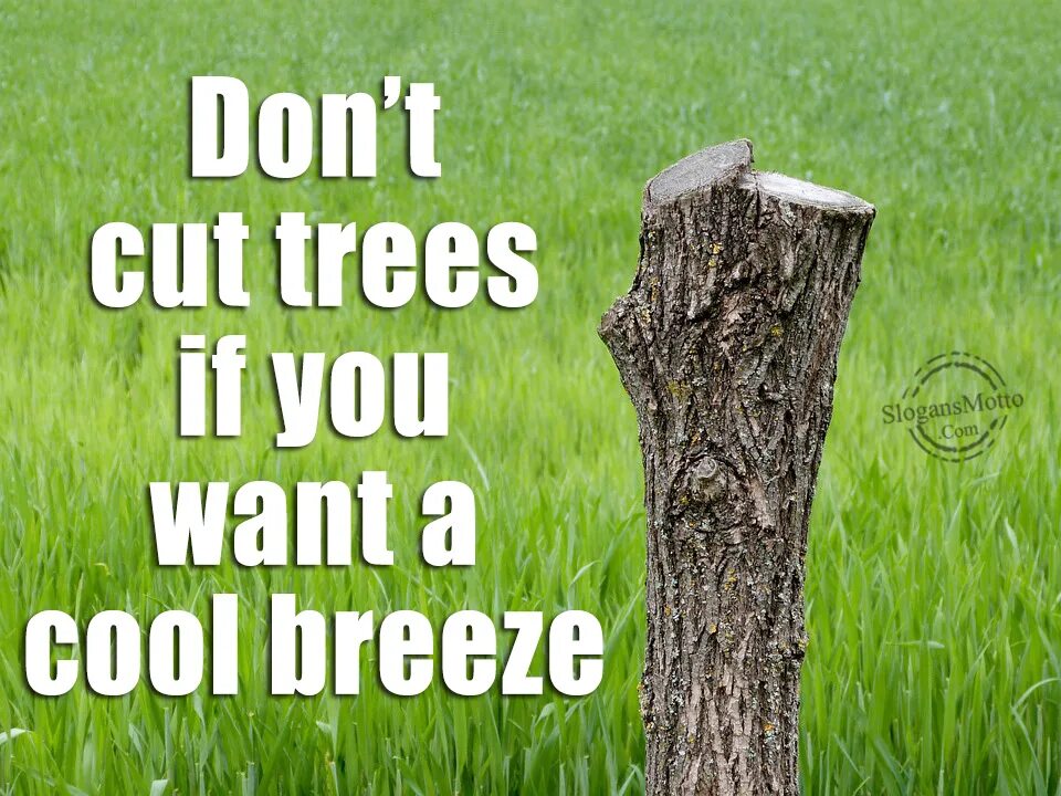 Cut down plant. Cut down Trees. Don't Cut Trees. Don't Cut down Trees. Do not Cut Trees.