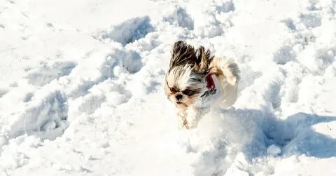 Cold small