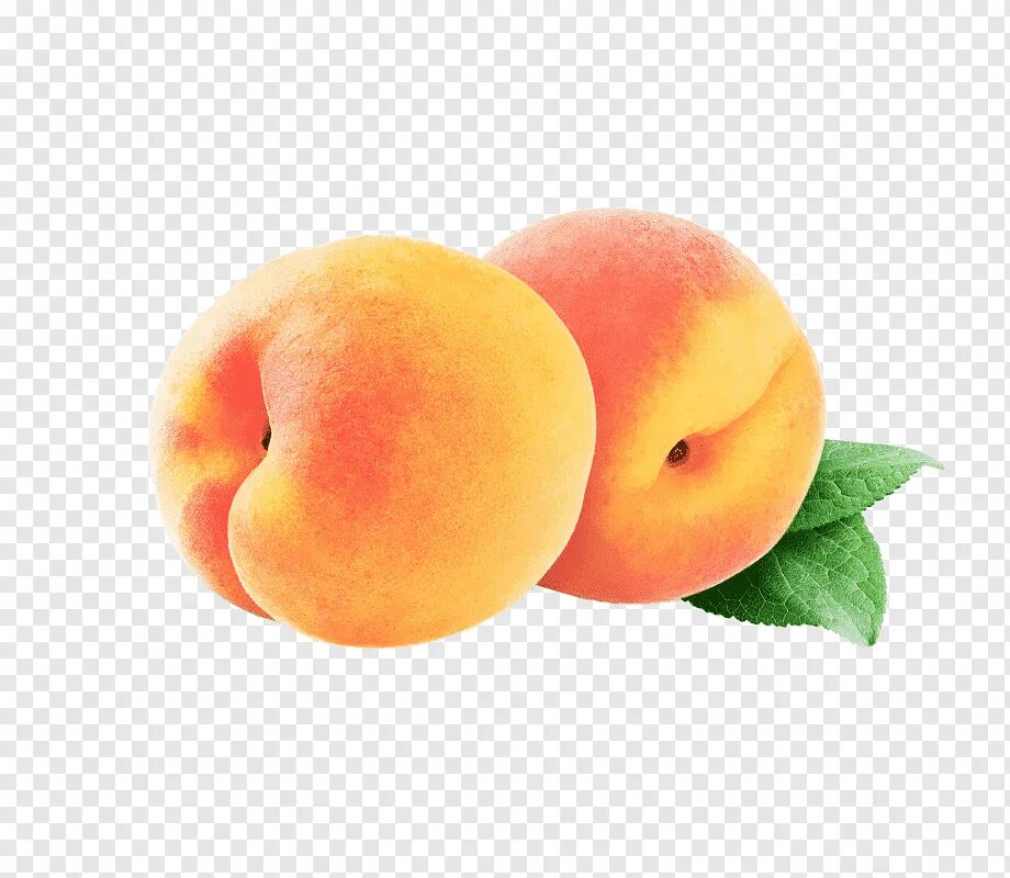 Peach apricot
