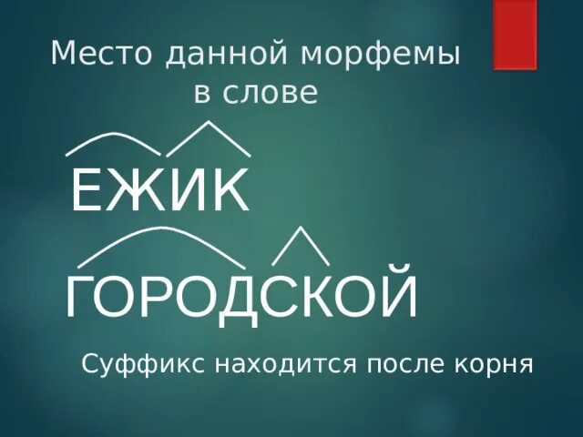 Морфема после корня. Общественное суффикс. Городская корень. Состав слова Ежи. Суффикс гор.