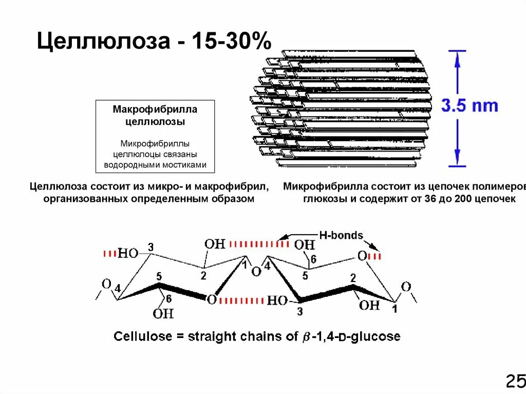Водородные мостики. Микрофибрилла целлюлозы схема. Строение фибриллы целлюлозы. Структура микрофибриллы целлюлозы. Строение микрофибрилл целлюлозы.