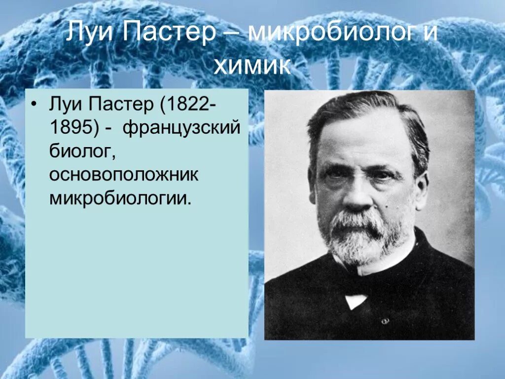 Биологические открытия 19 века. 10 открытий биологии. Луи пастер открытия в микробиологии. Великие открытия в биологии. 10 открытий биологии.