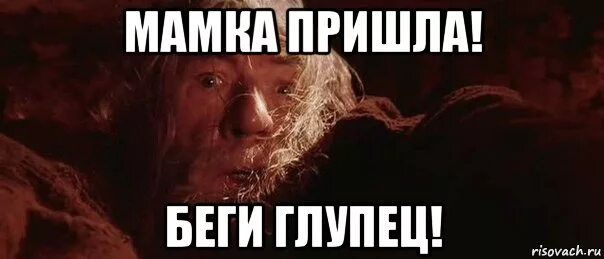 Тикайте хлопцы. Очнитесь глупцы. Бегите голубцы. Тикайте хлопцы Мем