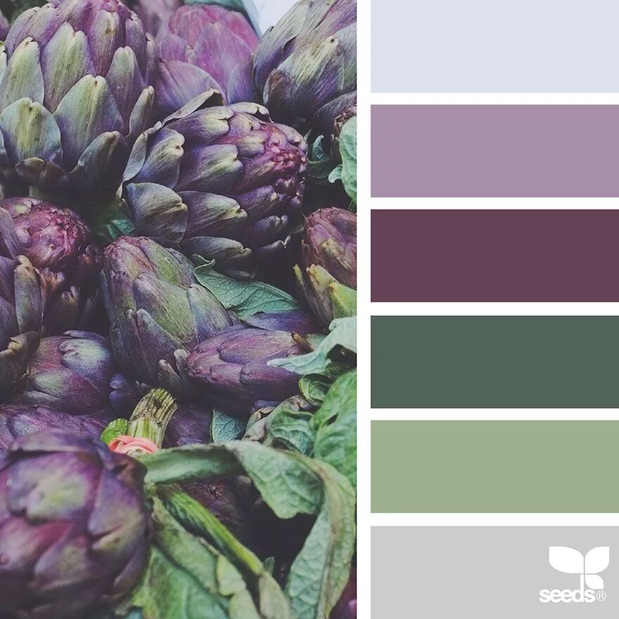 Серо фиолетовый цвет сочетание I just spotted the perfect colors! Purple color schemes, Colour schemes, Color s