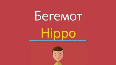 Hippo перевод с английского
