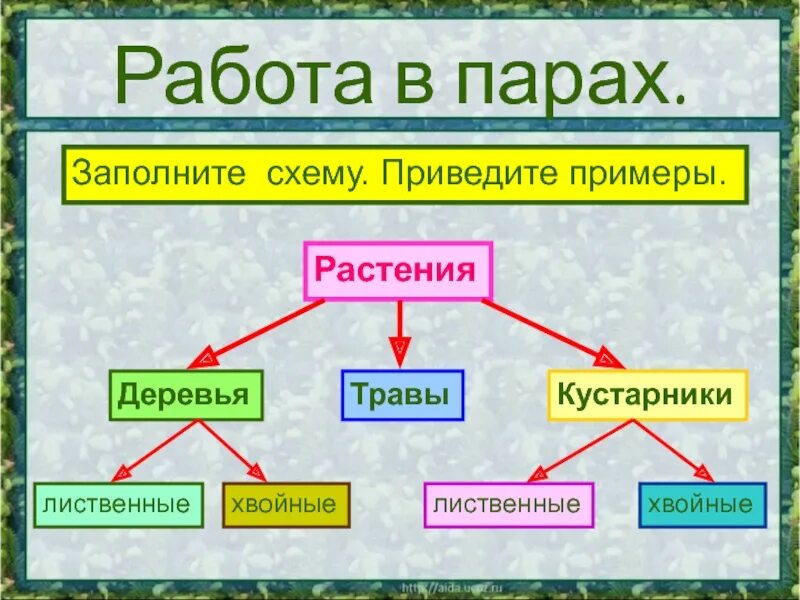 Тела и вещества 3 класс. Экологические связи с помощью модели. Приведи примеры 3 класс. Классы растений 2 класс окружающий мир. Окружающий мир товары и услуги таблица.