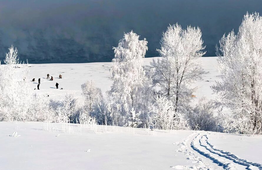Нсо краснозерский район. Природа чебаркуль зима. Нсо зимой. Новосибирская область зима. Природа новосибирской области зима.