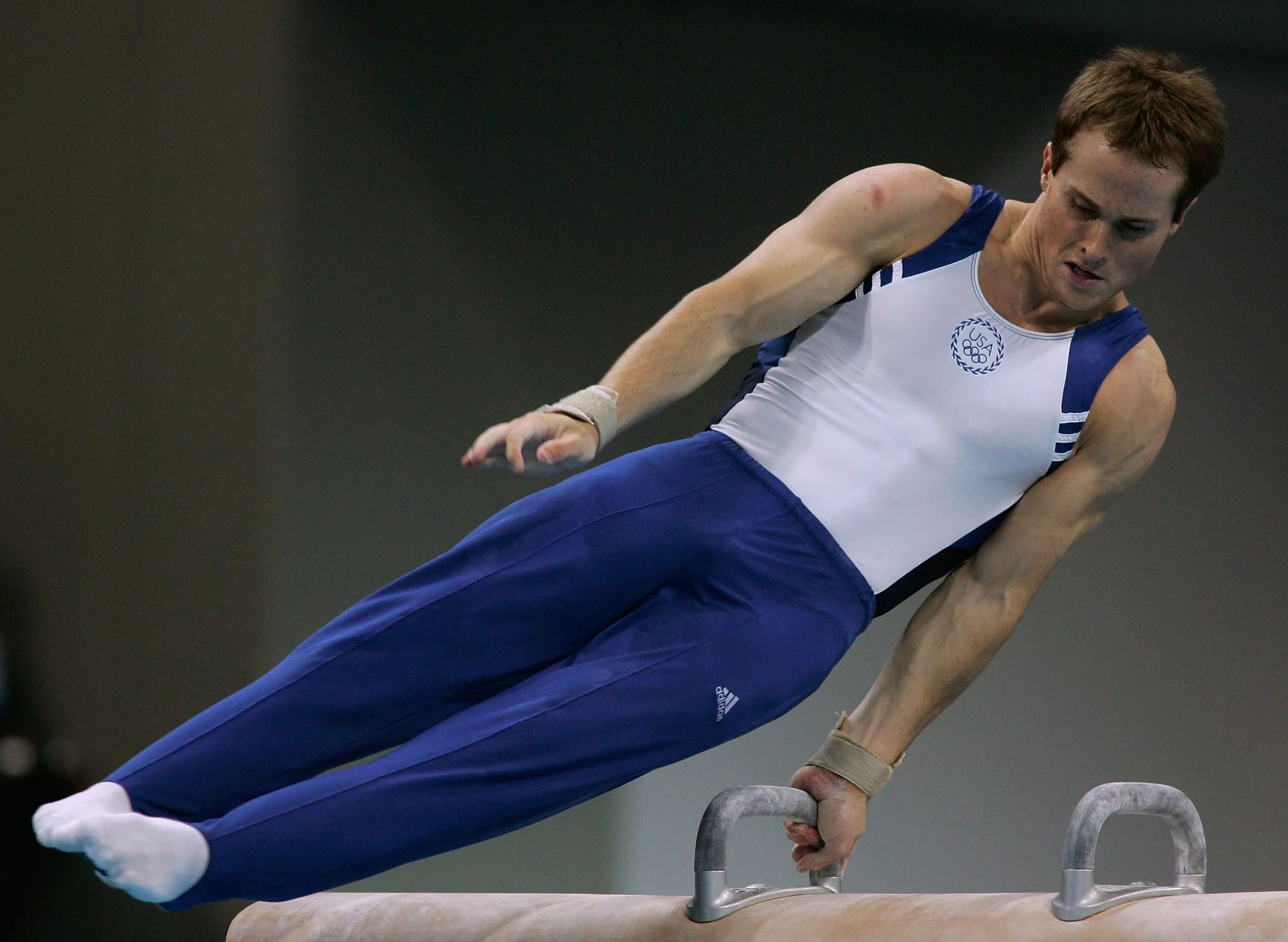 Лукас даузер гимнаст. Андреас Агвилар гимнаст. Пол Хэмм гимнаст. Спортивная гимнастика Немов.