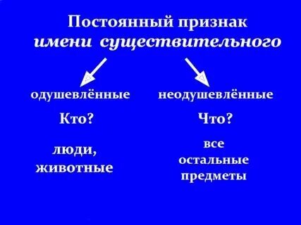 Собственное нарицательное постоянный признак