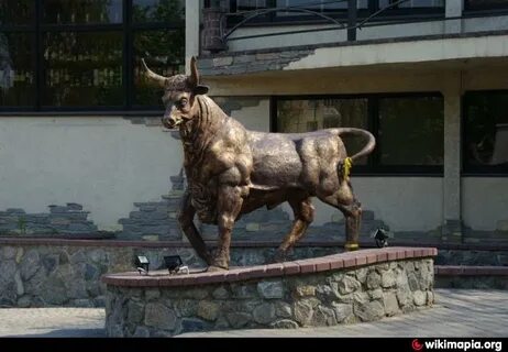 Бык кг