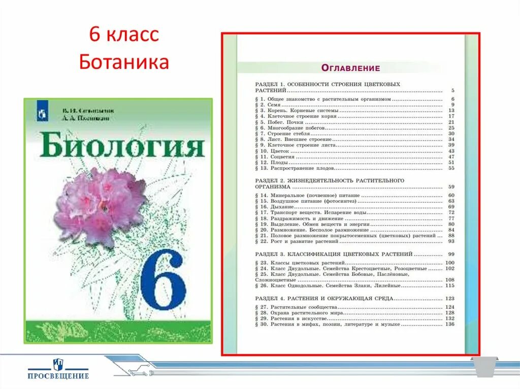 Учебник по биологии 8 класс сивоглазов читать. Сивоглазов биология 6 класс Просвещение. Сивоглазов Плешаков биология 6 класс оглавление. Сивоглазов биология 6 класс учебник оглавление. Сивоглазов 6 кл биология учебник Просвещение.