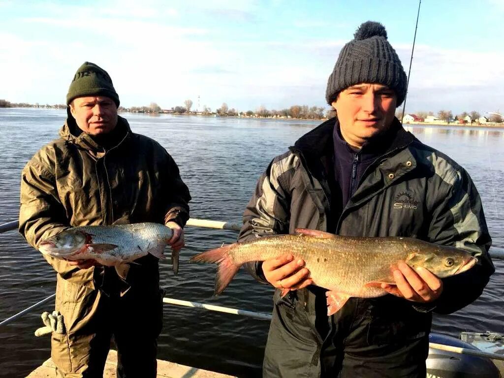 Три пескаря платная рыбалка. Озеро три пескаря лыткино. три пескаря рыбалка. база два пескаря астрахань. пруд три пескаря.
