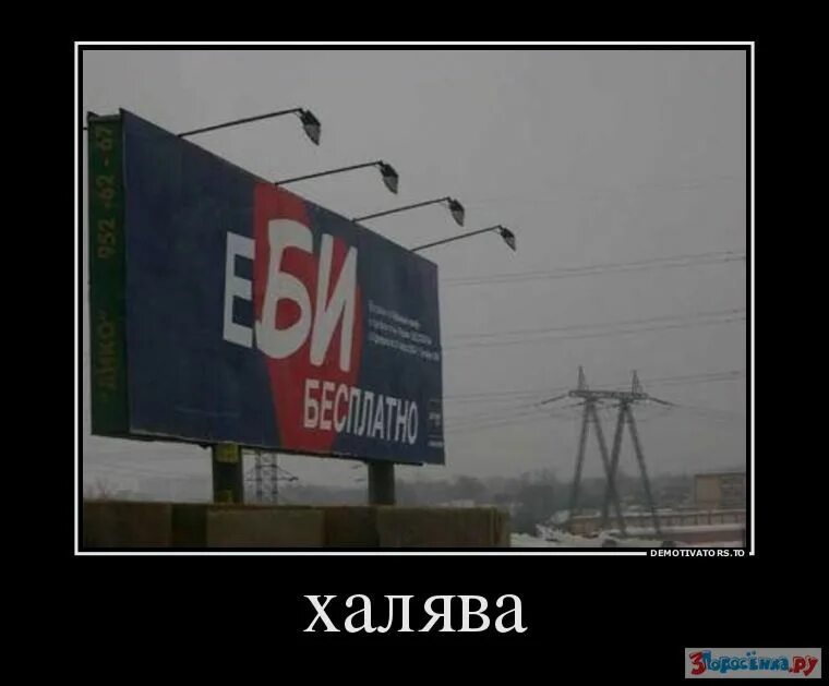 Спасибо не получу. Спасибо демотиватор. халява картинки смешные. благодарю демотиватор. халява демотиватор.