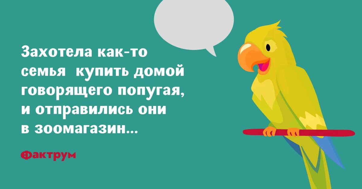 Анекдот про попугая. Говорит попугай попугаю. Анекдот про говорящего попугая. Анекдоты с попугаем. Попугай попугаю скороговорка