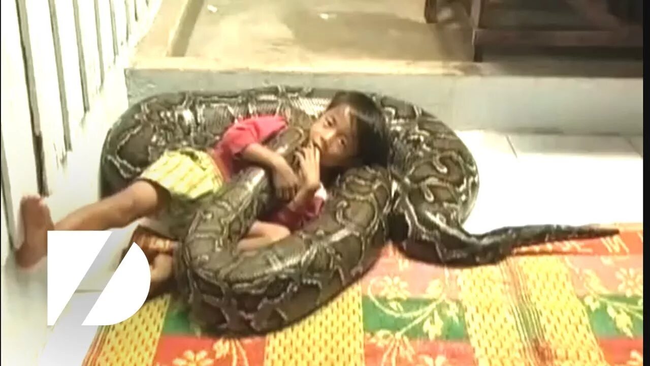 можно ли съесть человека. можно ли съесть человека. можно ли съесть человека. что рекомендуется есть на завтрак. можно ли съесть человека.