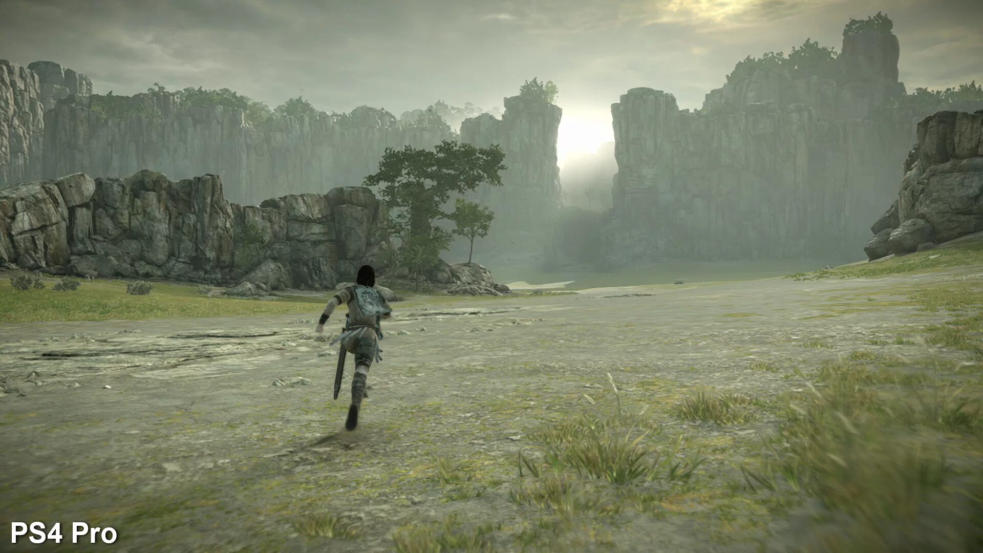 Shadow of the colossus 2011. Shadow of the colossus ps4. ико игра. shadow of the colossus remake. shadow of the colossus обложка.