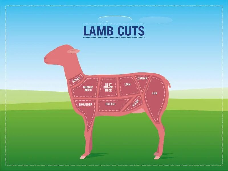 Ягненок фланк. Cut of the Lamb. Lamb loin (Chops) на белом фоне. Happy lamb games