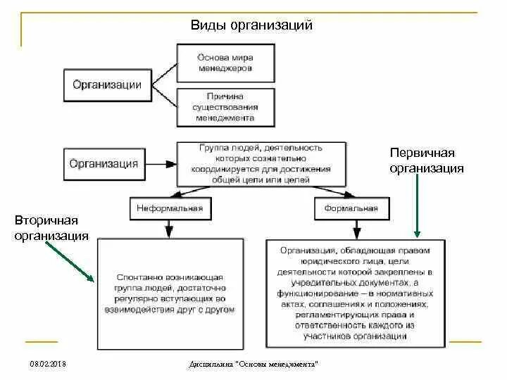 Вторичной организацией является. Первичные организации примеры. Первичные и вторичные организации. Виды вторичных организаций. Первичные и вторичные организации примеры.