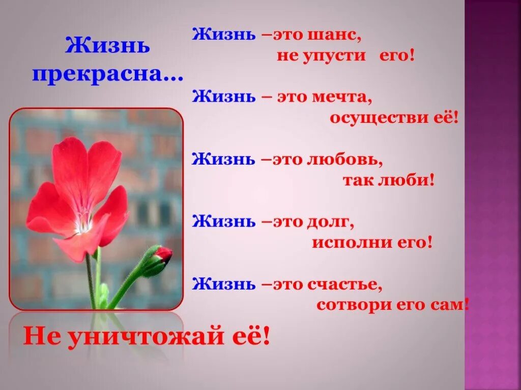 Цени свою жизнь. Антитеррор классный час. Классный час жизнь. Презентация любите жизнь. Классный час 2 класс жизнь прекрасна.
