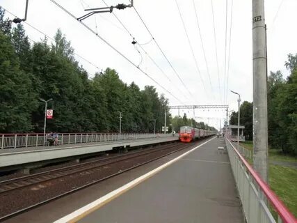 Москва ярославская зеленоградская расписание на сегодня