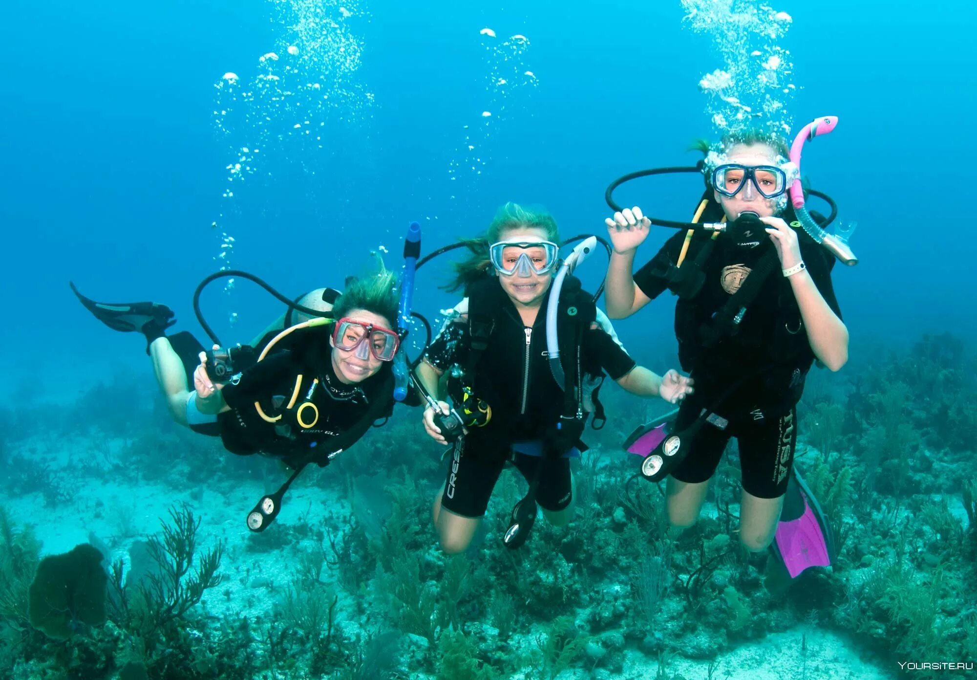 Dive want