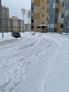 Снег очищает воздух