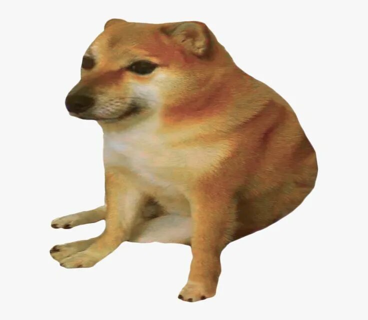 funny dog memes clean funny dog memes 2018 dog meme face cute dog memes dog meme