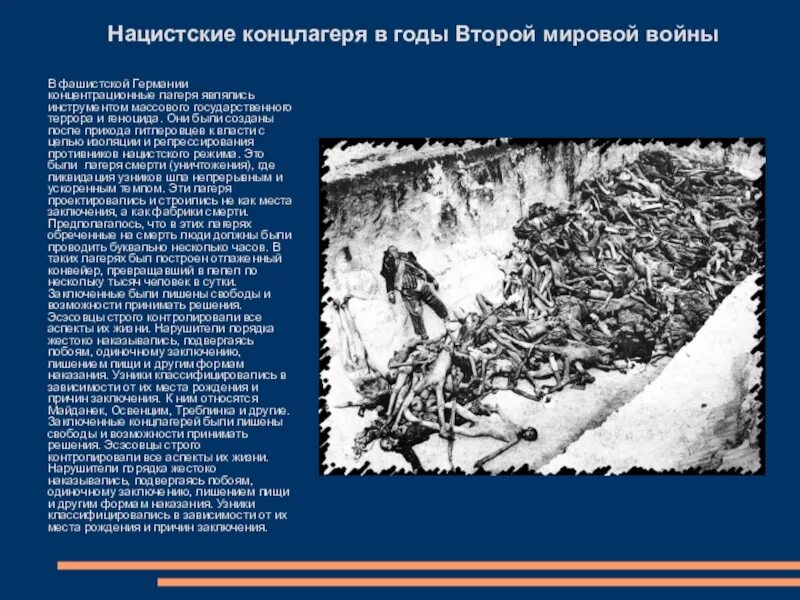 Число концлагерей