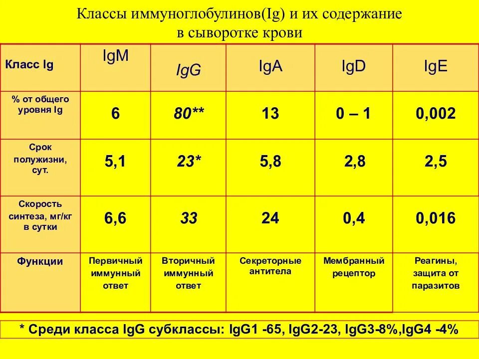 Определение иммуноглобулинов g. Классы иммуноглобулинов, субклассы. Иммуноглобулин g3. Классификация иммуноглобулинов. Классы иммуноглобулинов таблица.