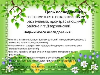 Растения курсовая