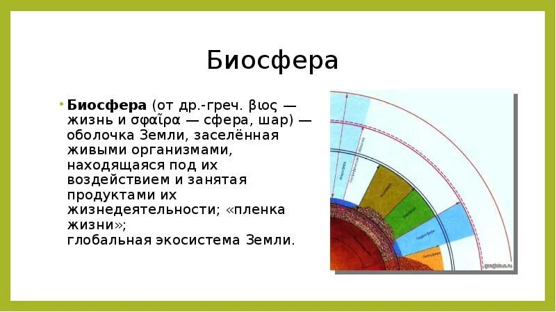 Биосфера оболочка земли где существует жизнь. Биосфера сфера жизни. Пленка жизни Биосфера. Биосфера земная оболочка. "Биосфера - сфера жизни", крассфорд.