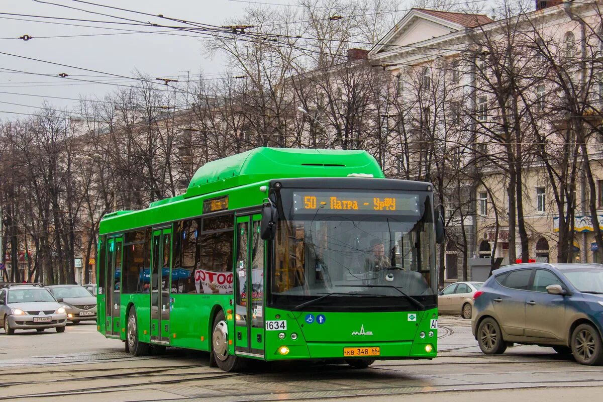 МАЗ-203.l65. МАЗ 203 Екатеринбург. Автобус maz 203 l65. 50 Автобус ЕКБ. Маршрут автобуса пятьдесят