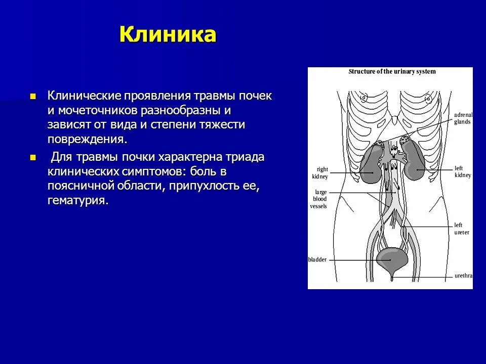 Травма мочеточника. Повреждение мочеточника. Клиника повреждений мочеточника. Травма мочеточника клиника.