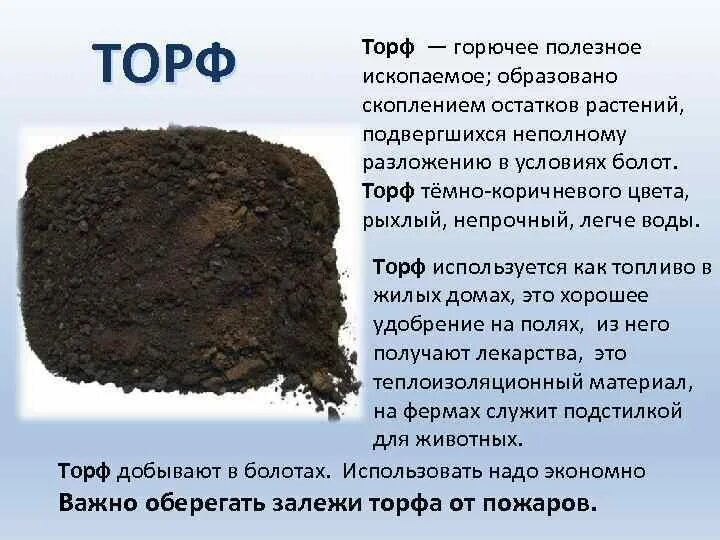 Горючие полезные ископаемые торф. Горючие полезные ископаемые торф