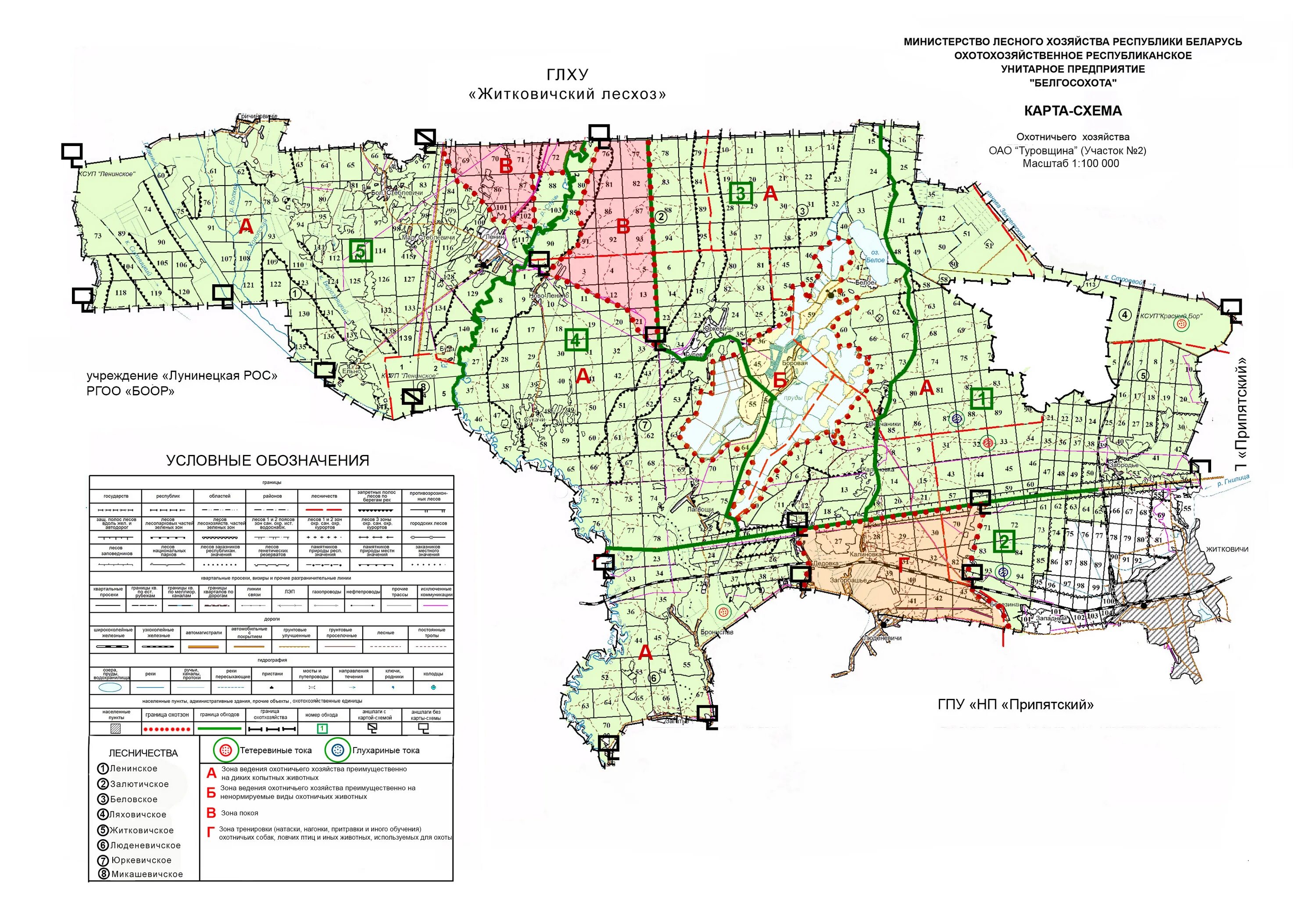 Карта лесхоза. Карта кварталов леса. Карта лесных насаждений. ГЛХУ Житковичский лесхоз. Карты лесного хозяйства