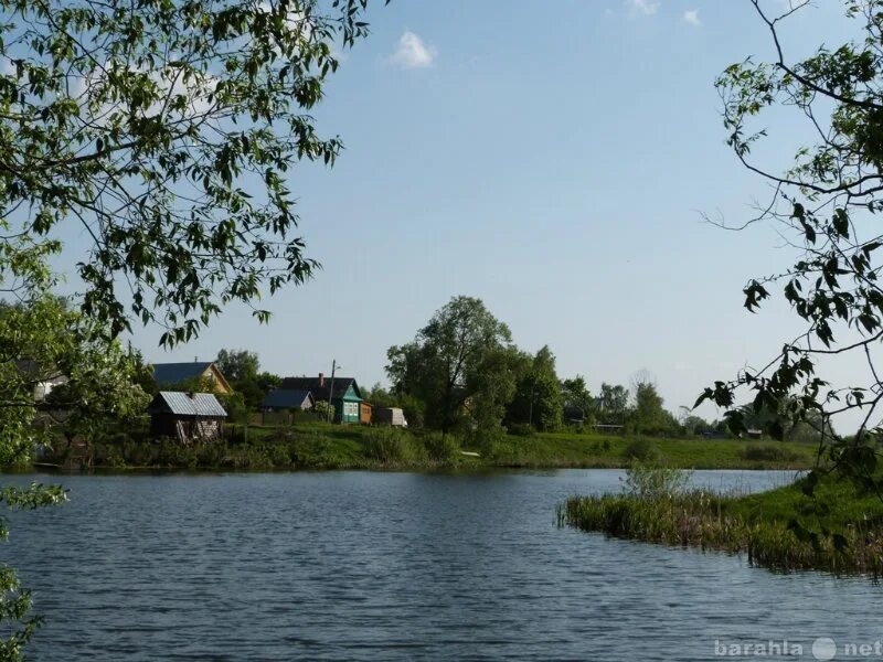 Поддубье тверская область. Деревня поддубье тверская область. пруд в поддубье.