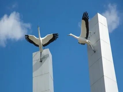 Журавли в честь траура