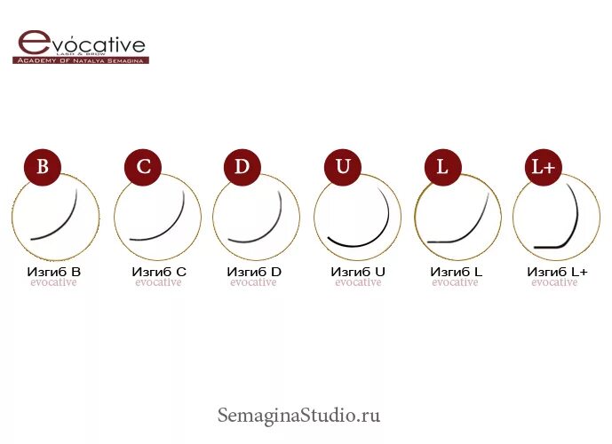 Как отличить л. Изгибы ресниц. Изгибы ресниц для наращивания. Ресницы изгиб u. Виды изгибов ресниц как выглядит.