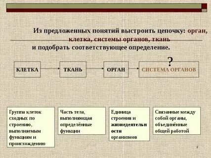 Возможность краткое определение