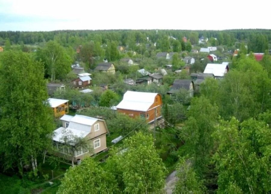 Однозначные слова и многозначные слова. Дача значение слова. Как понять слово напротив. Дачная амнистия на земельный участок. Однозначное или многозначное слово.