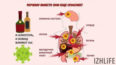Употребляли ли они
