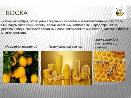 Воски сложные эфиры